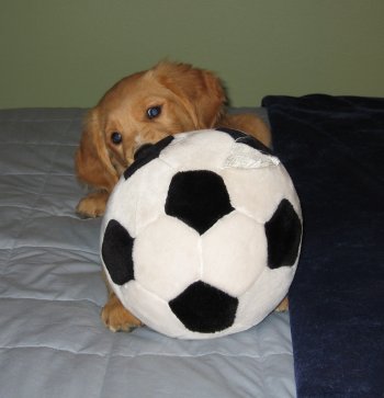 Pax with soccer ball